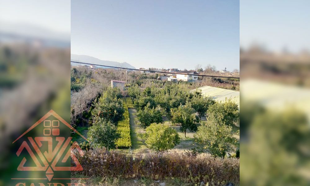 فروش ویلا رامسر کد 110 ، ویو دریا و جنگل