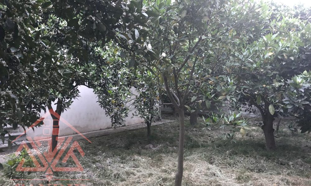 فروش ویلا قدیمی در رامسر