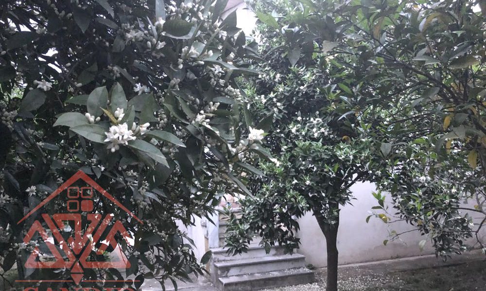 فروش ویلا قدیمی در رامسر