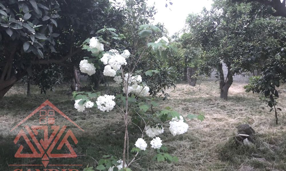 فروش ویلا قدیمی در رامسر