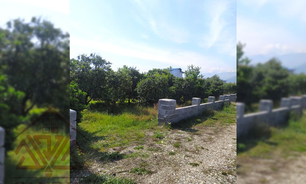 فروش زمین در رامسر کد 131