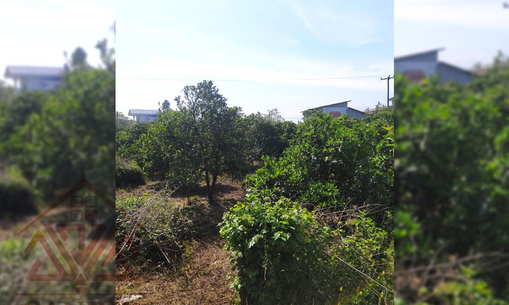 فروش زمین در رامسر کتالم کد 132