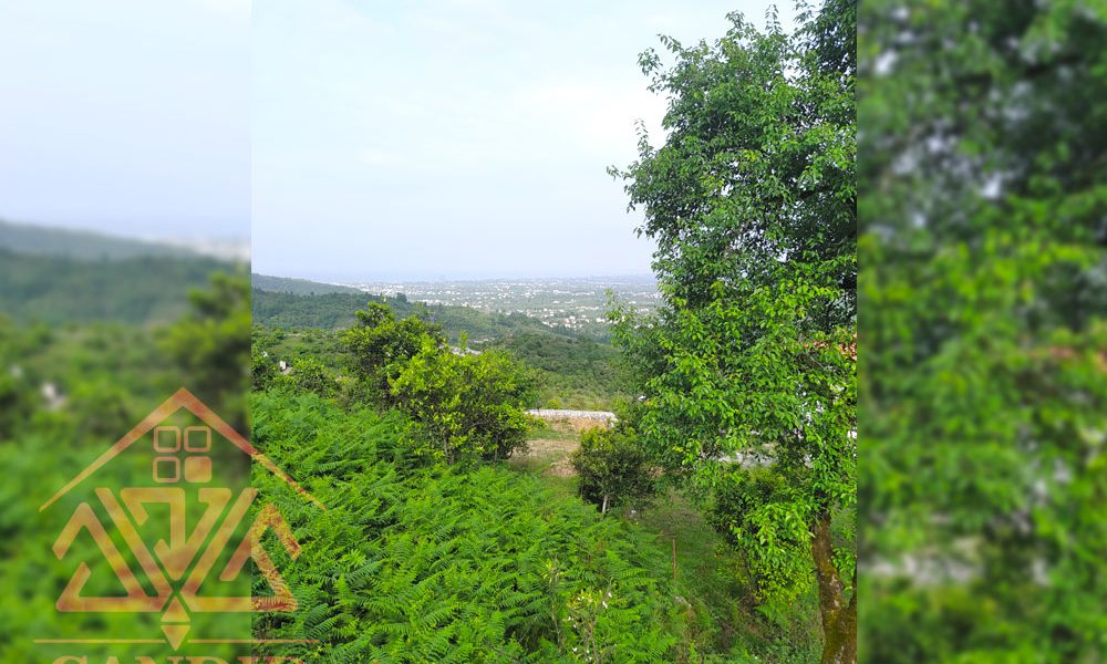 فروش زمین رامسر کد 126