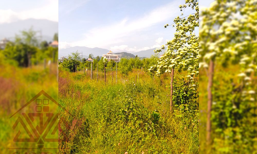 فروش زمین در رامسر کتالم کد 132