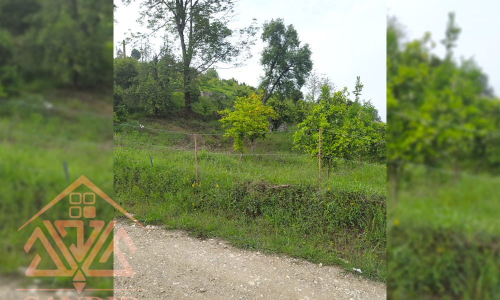 فروش زمین رامسر کد 126