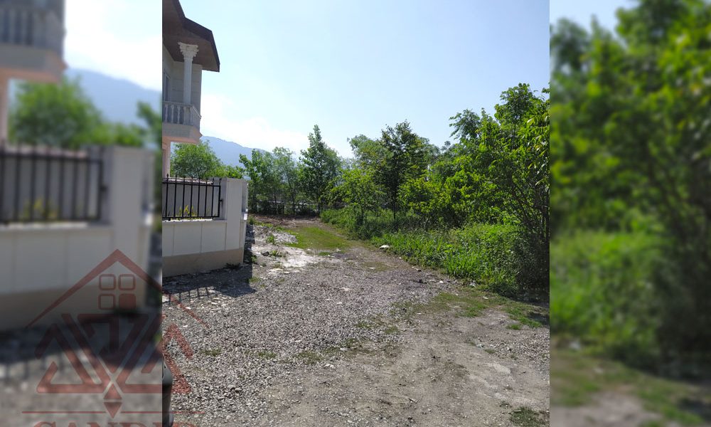 فروش زمین در رامسر کتالم کد 139