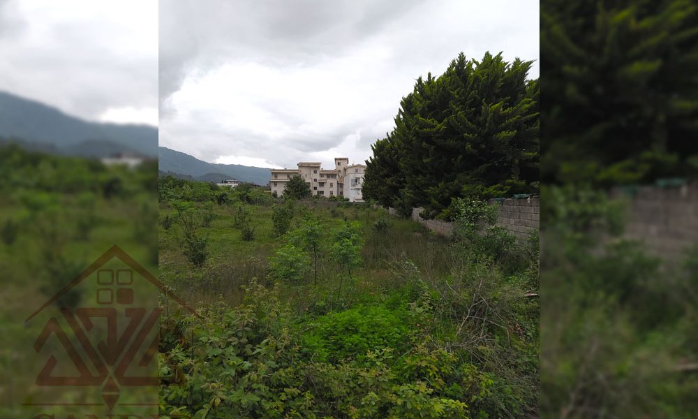 فروش زمین در رامسر کد 142