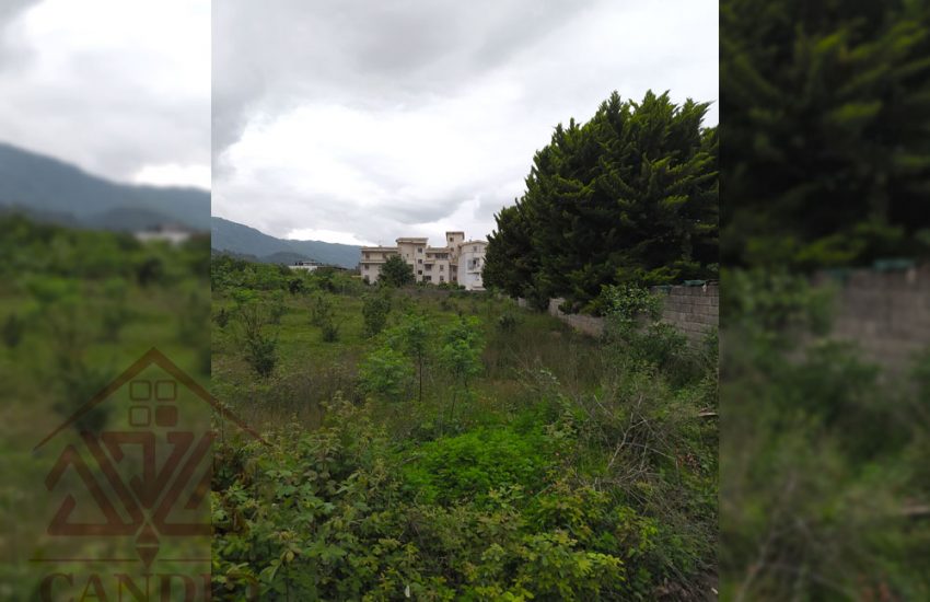 فروش زمین در رامسر کد 142