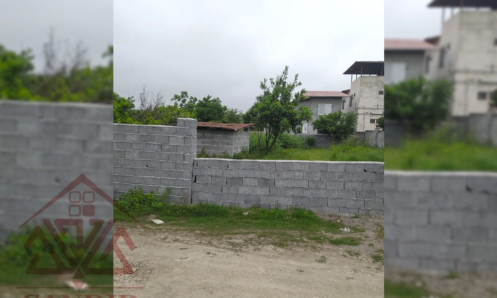 فروش زمین در رامسر کد 143