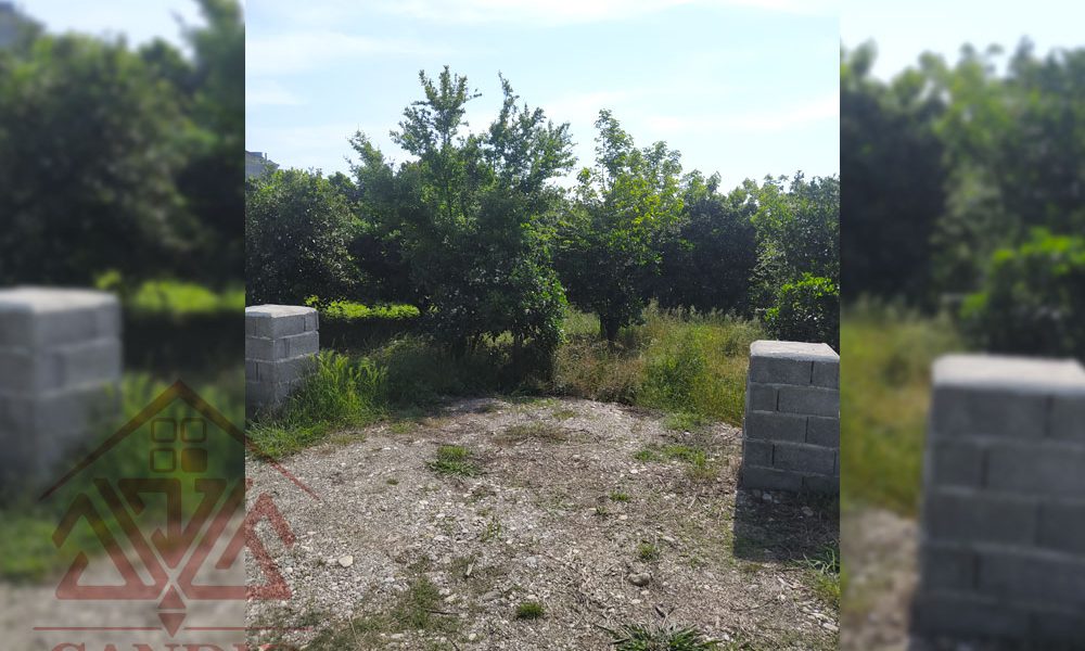 فروش زمین در رامسر کد 131