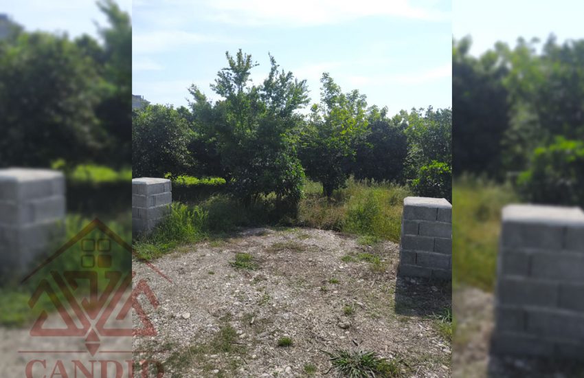 فروش زمین در رامسر کد 131