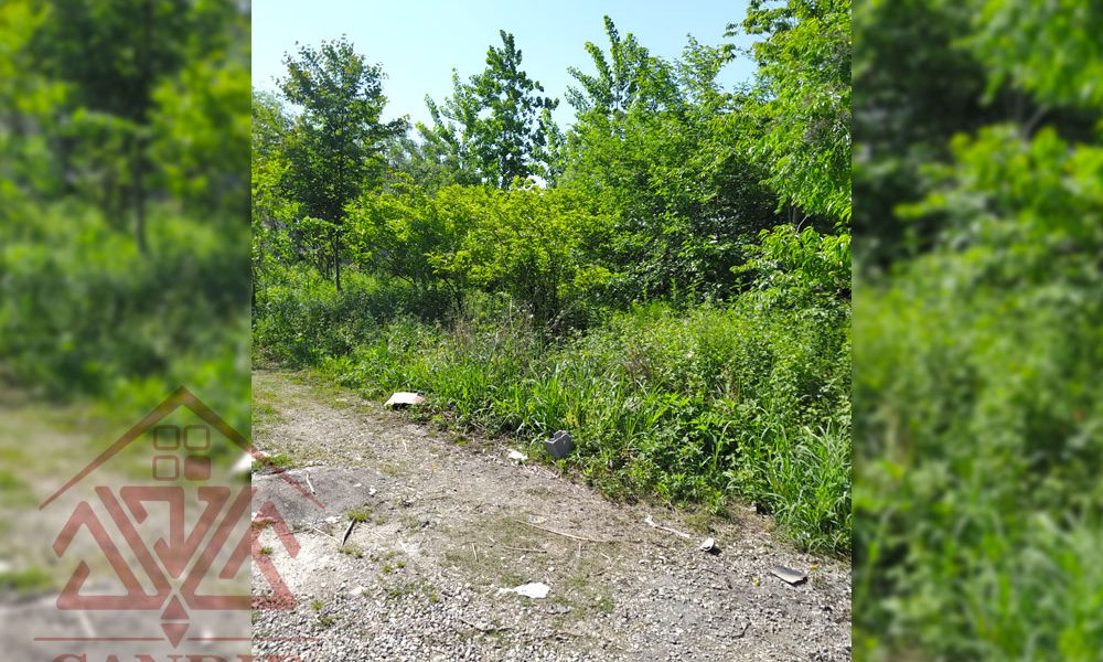 فروش زمین در رامسر کتالم کد 139