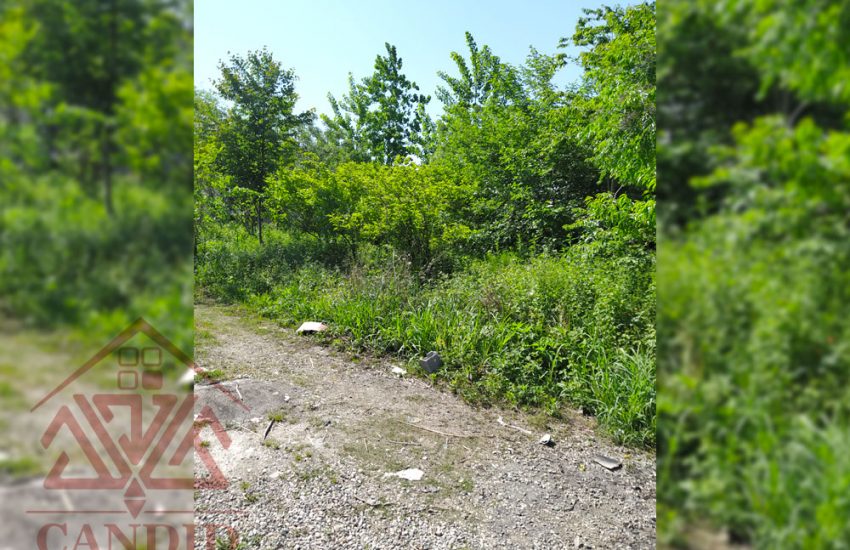 فروش زمین در رامسر کتالم کد 139