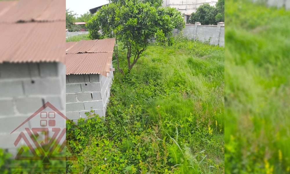 فروش زمین در رامسر کد 143