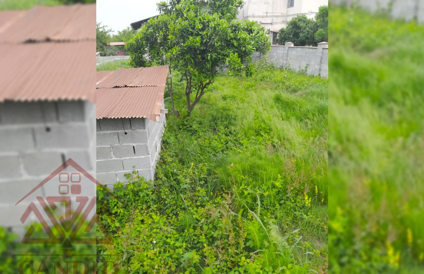 فروش زمین در رامسر کد 143