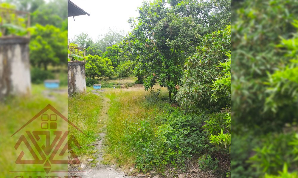 فروش زمین در رامسر کد 144