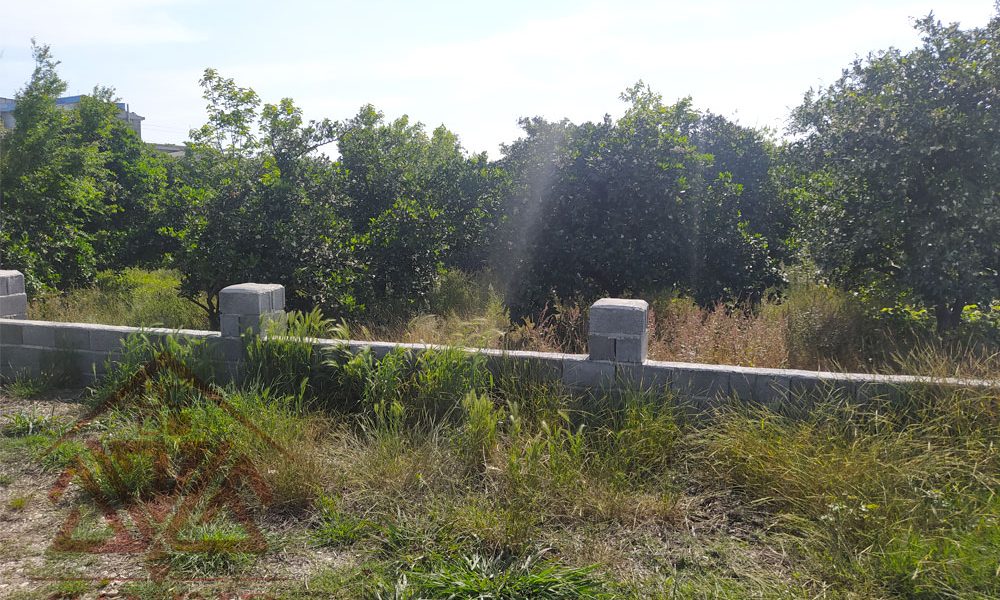 فروش زمین در رامسر کد 131