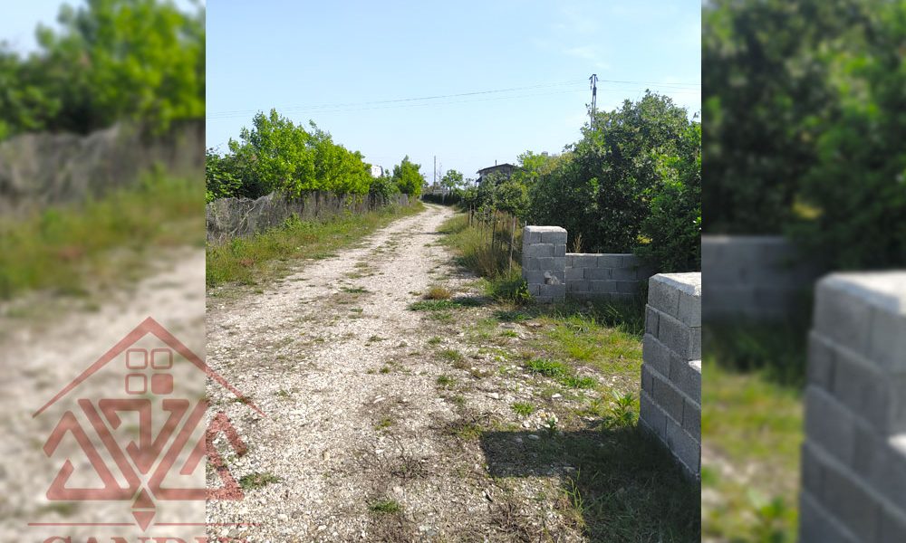 فروش زمین در رامسر کد 131