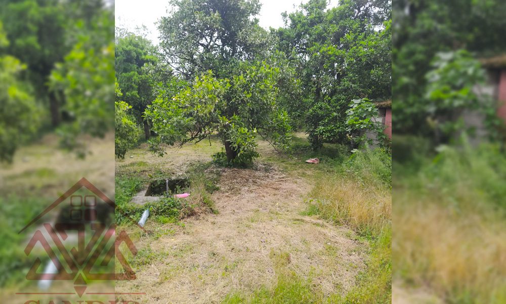 فروش زمین در رامسر کد 144