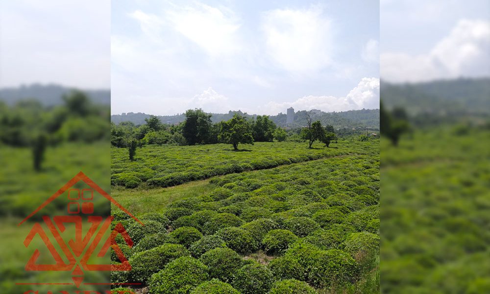 فروش زمین کد 163