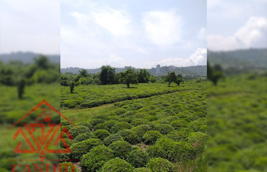 فروش زمین کد 163