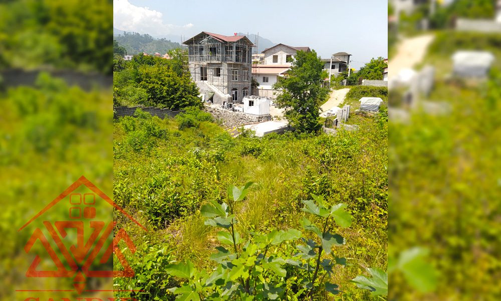 فروش زمین کد 163