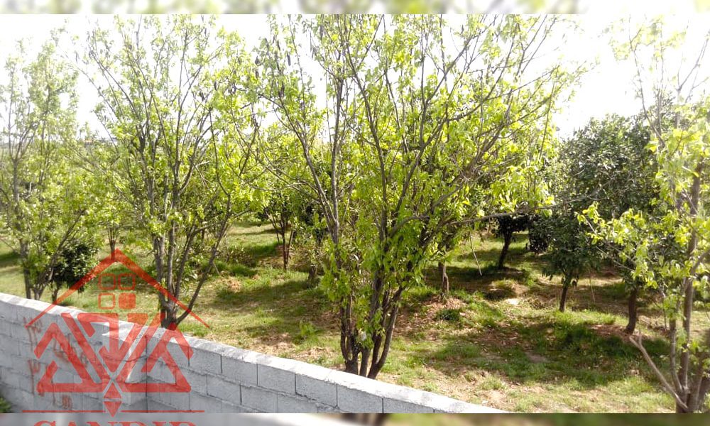 فروش باغ کد 156