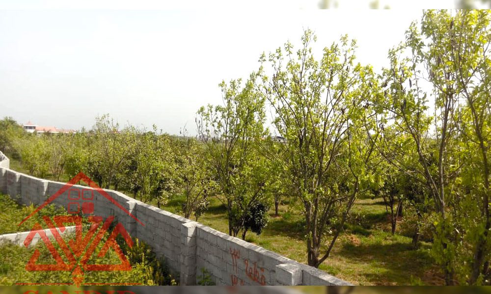 فروش باغ کد 156