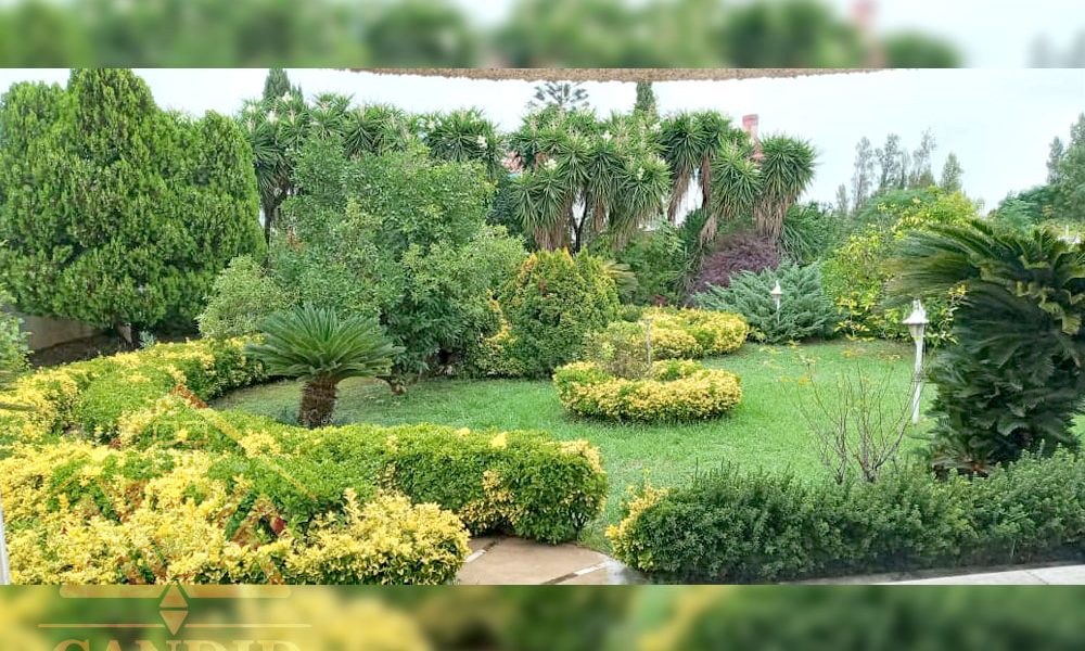 فروش ویلا در رامسر کد 184