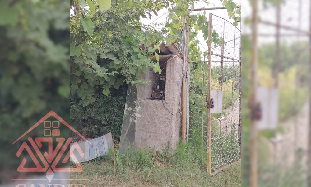 فروش باغ کیوی #123