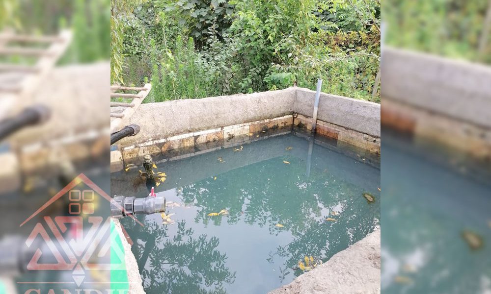 فروش باغ کیوی #123