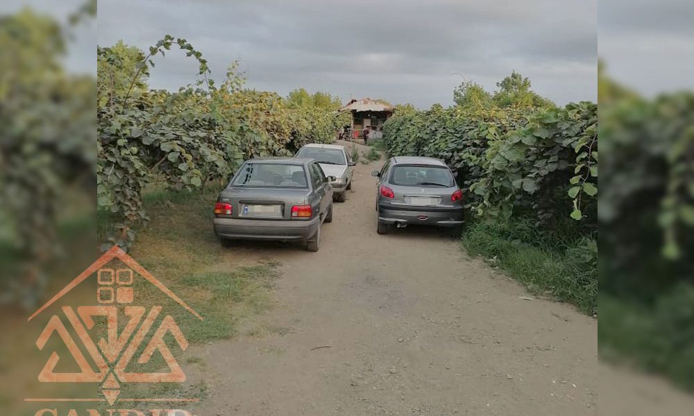 فروش باغ کیوی #123