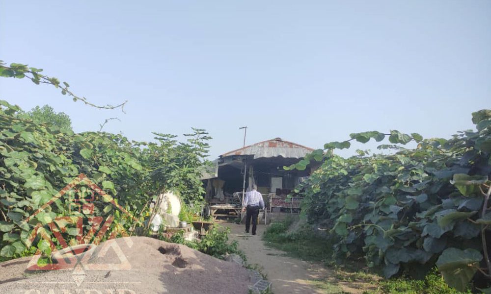 فروش باغ کیوی #123