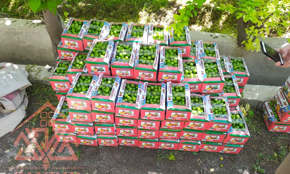 فروش باغچه شهریار 201