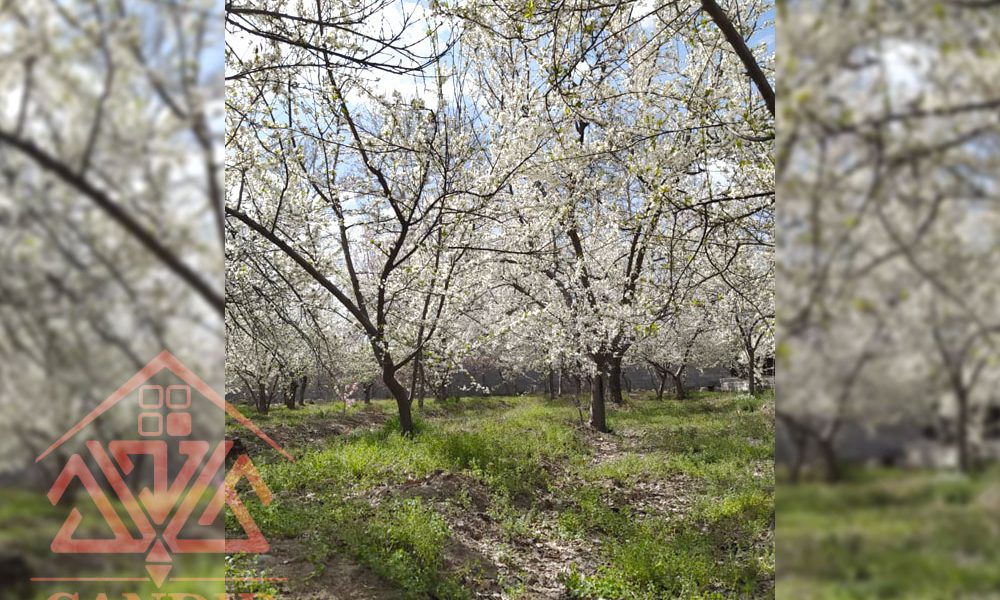 فروش باغچه شهریار 201