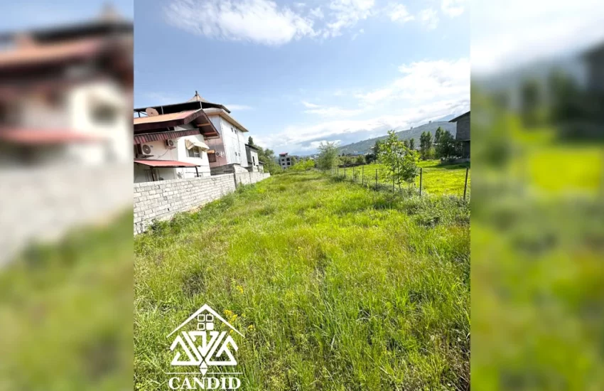 فروش زمین در رامسر کد 13 رامسر - کتالم