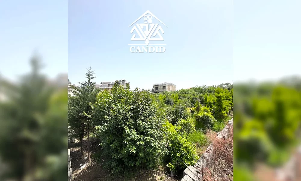 فروش زمین در رامسر کد 19 رامسر - کتالم