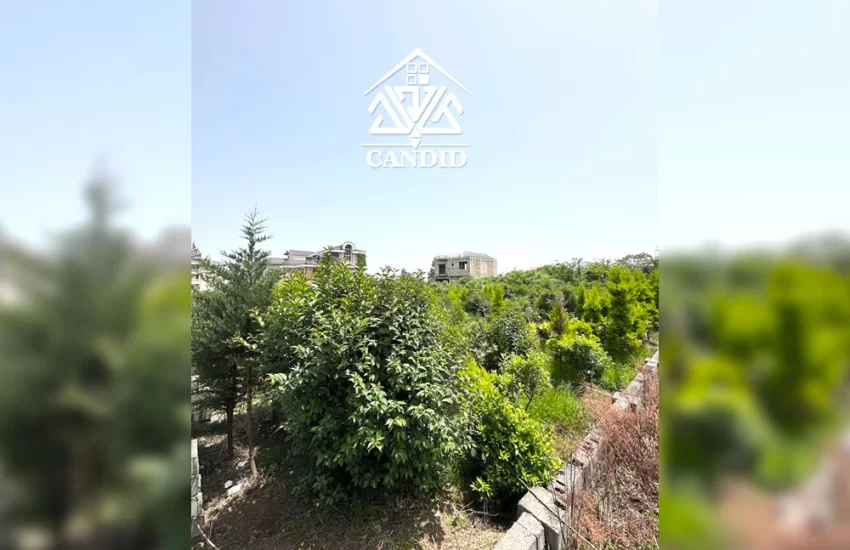 فروش زمین در رامسر کد 19 رامسر - کتالم