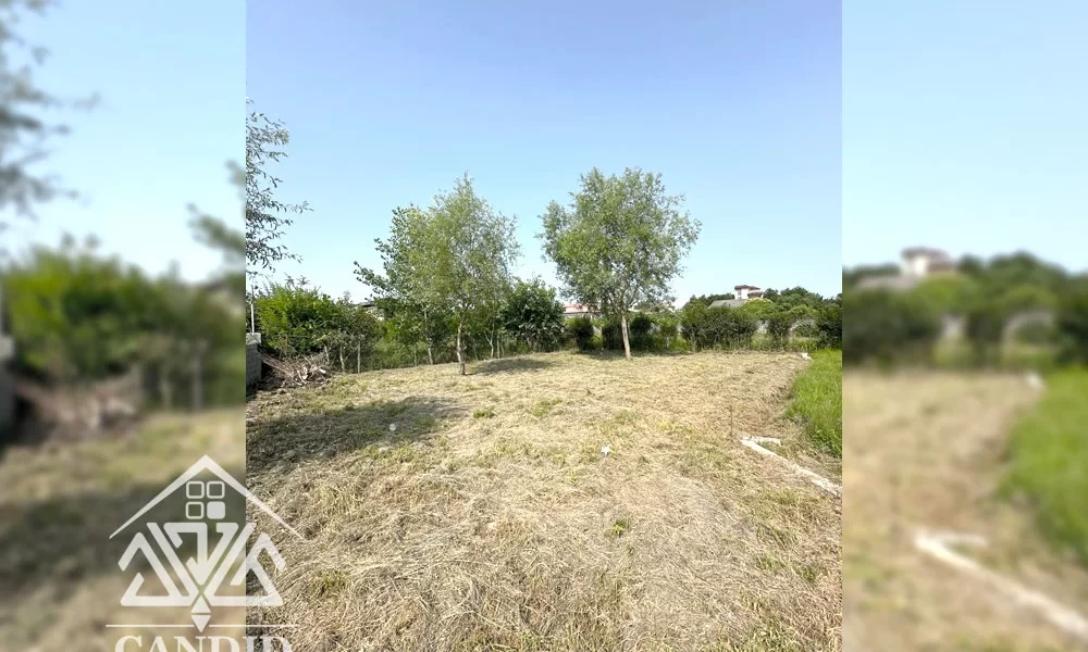 فروش زمین در کتالم کد 203 389 مترمربع