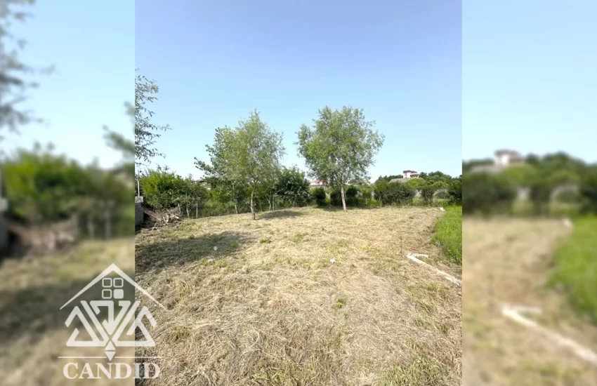 فروش زمین در کتالم کد 203 389 مترمربع