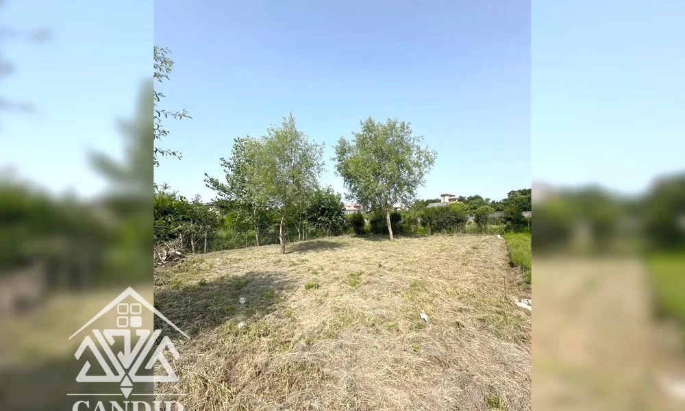 فروش زمین در کتالم کد 203 389 مترمربع