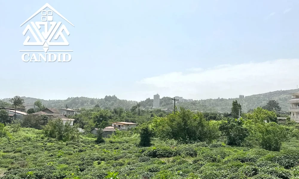 فروش زمین در رامسر کد 4 متراژ بالا