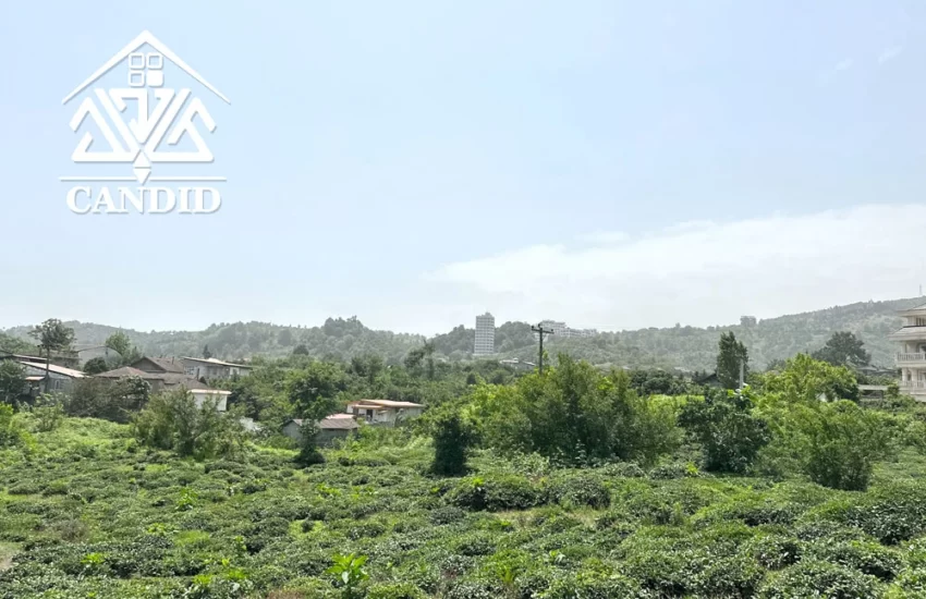 فروش زمین در رامسر کد 4 متراژ بالا