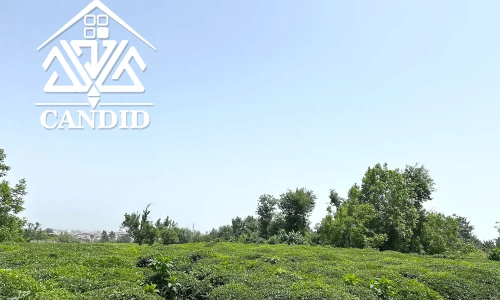 فروش زمین در رامسر کد 4 متراژ بالا