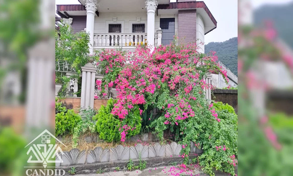 فروش ویلا در رامسر کد 130