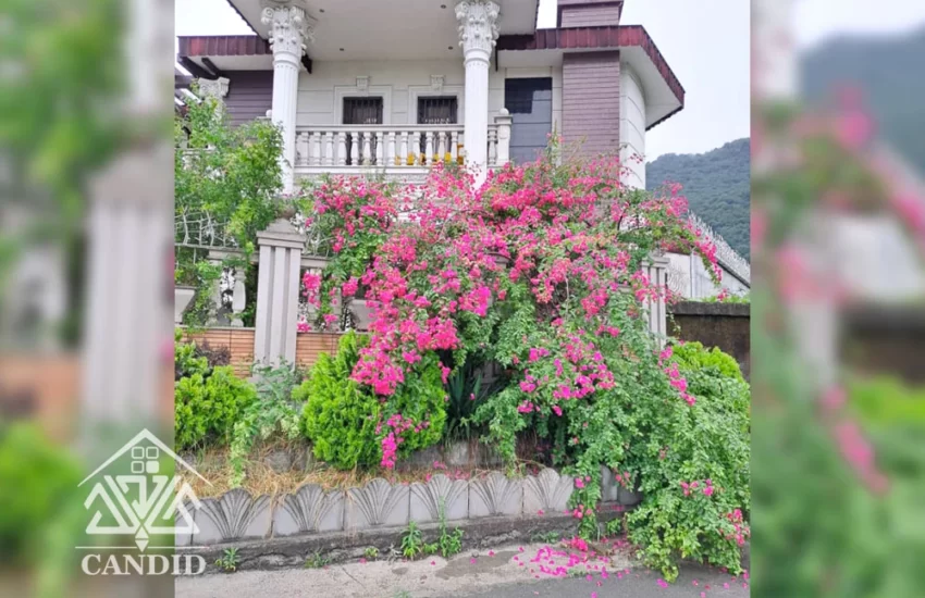 فروش ویلا در رامسر کد 130