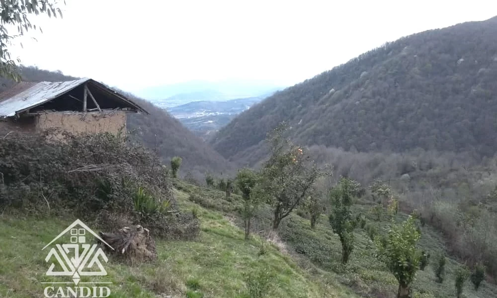 فروش زمین در رامسر کد 178