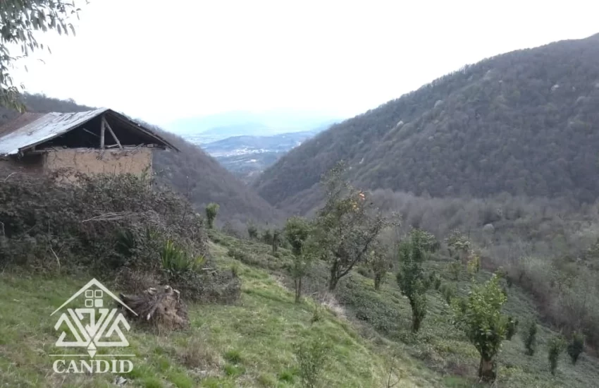 فروش زمین در رامسر کد 178