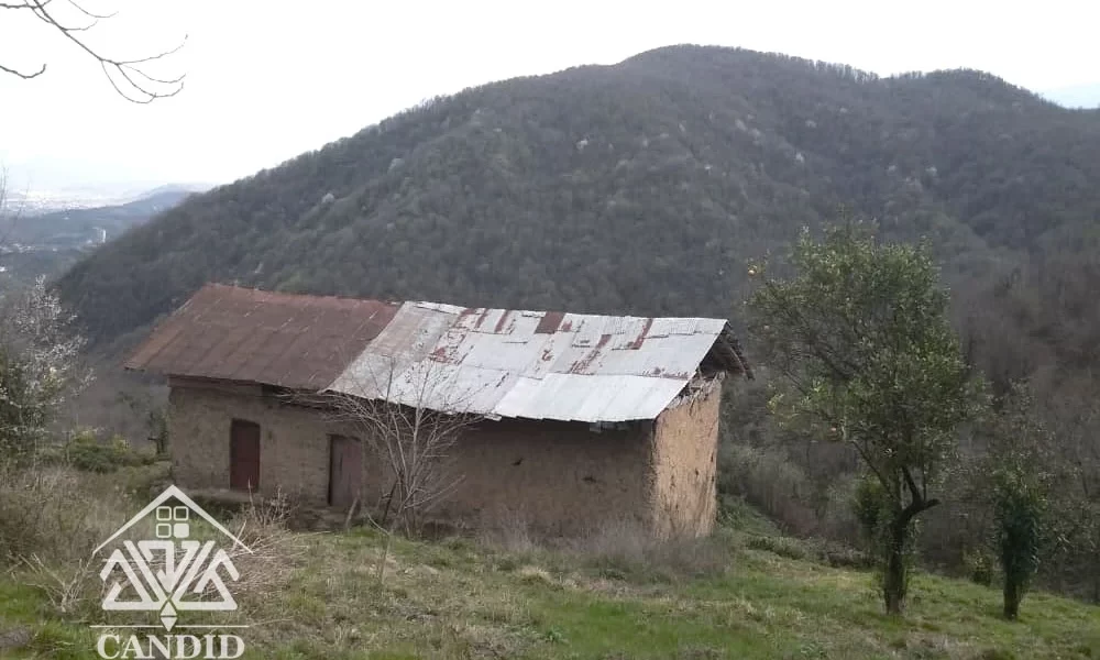 فروش زمین در رامسر کد 178