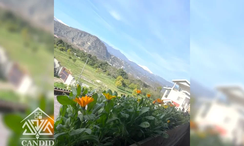 فروش ویلا در نیاسته کد 56 250 متر زمین 180 متر بنا